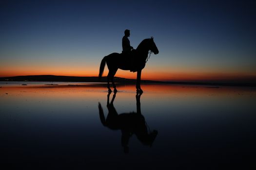在宁静的海滩上，夕阳西下，马和骑手的身影勾勒出迷人的剪影。 - 相关推荐