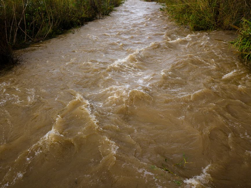 Heavy rain causes school closures across South-East Queensland