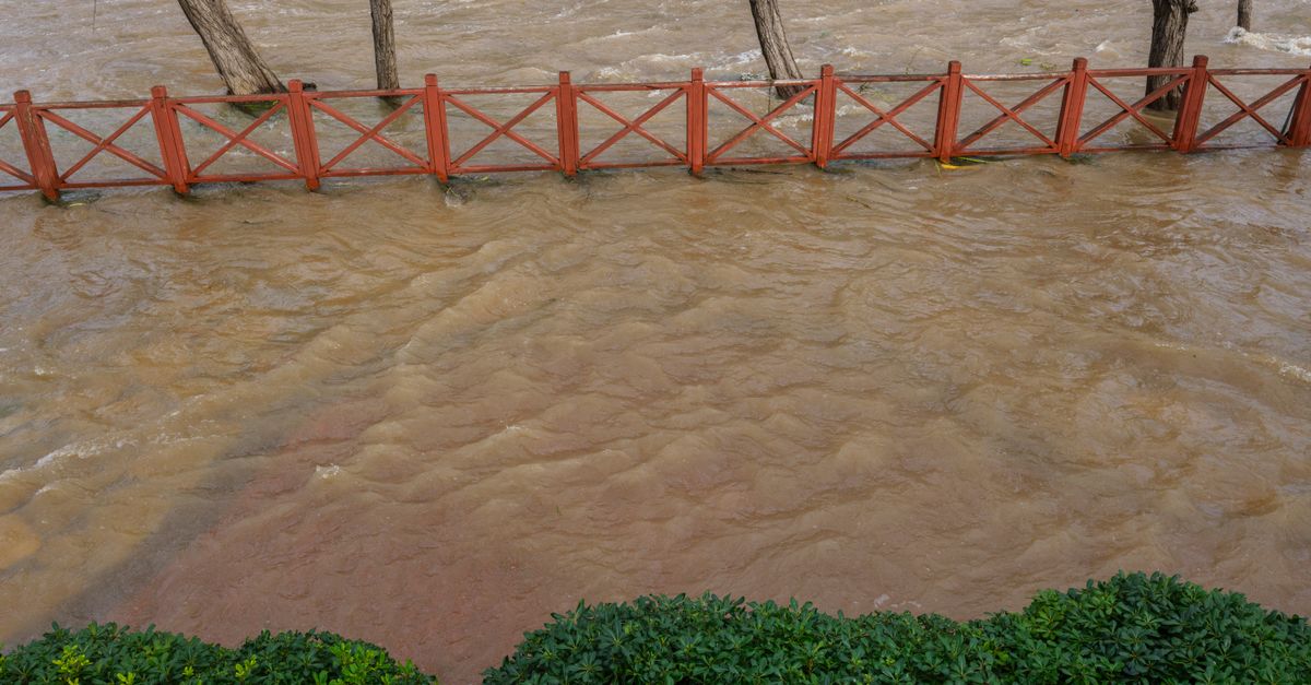 chiba flooding