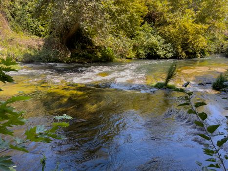 Peaceful river flowing through a lush green forest, perfect for nature or travel themes.