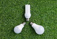 三个节能灯泡放置在绿意盎然的草地上，象征着可持续能源