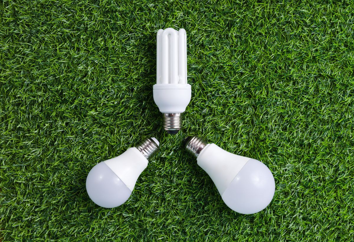 Energy-efficient light bulbs representing green energy in Kilmarnock