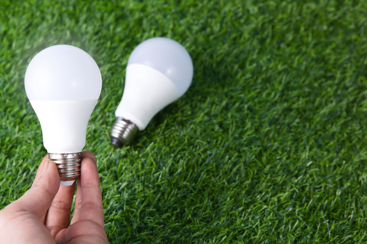 energy efficient led bulbs