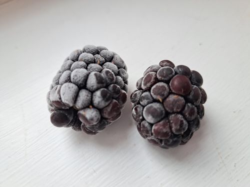 Free stock photo of backdrop, berries, black Stock Photo