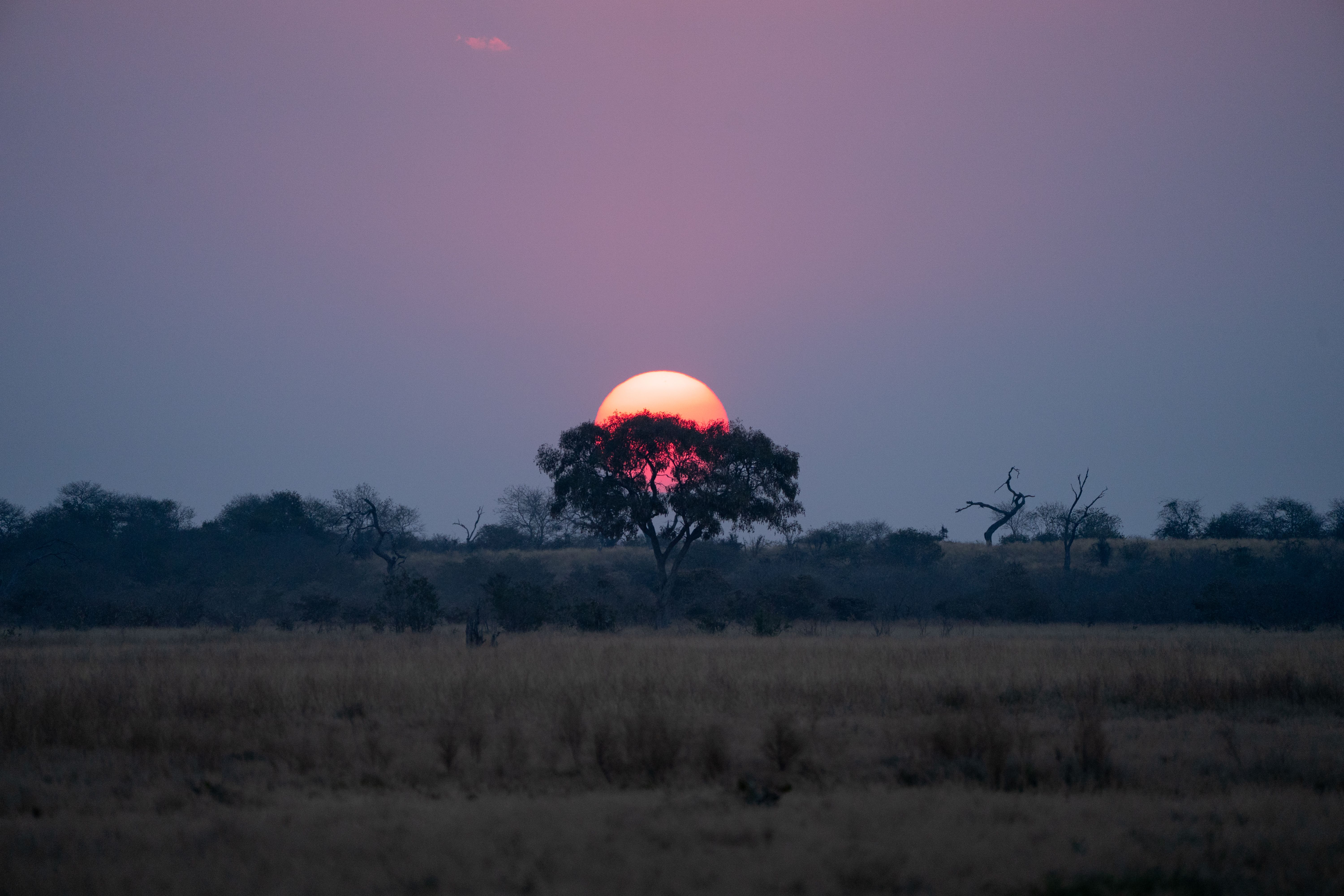 Beautiful sunset over the Savuti landscape in Chobe, Botswana, highlighting diverse wildlife habitat.