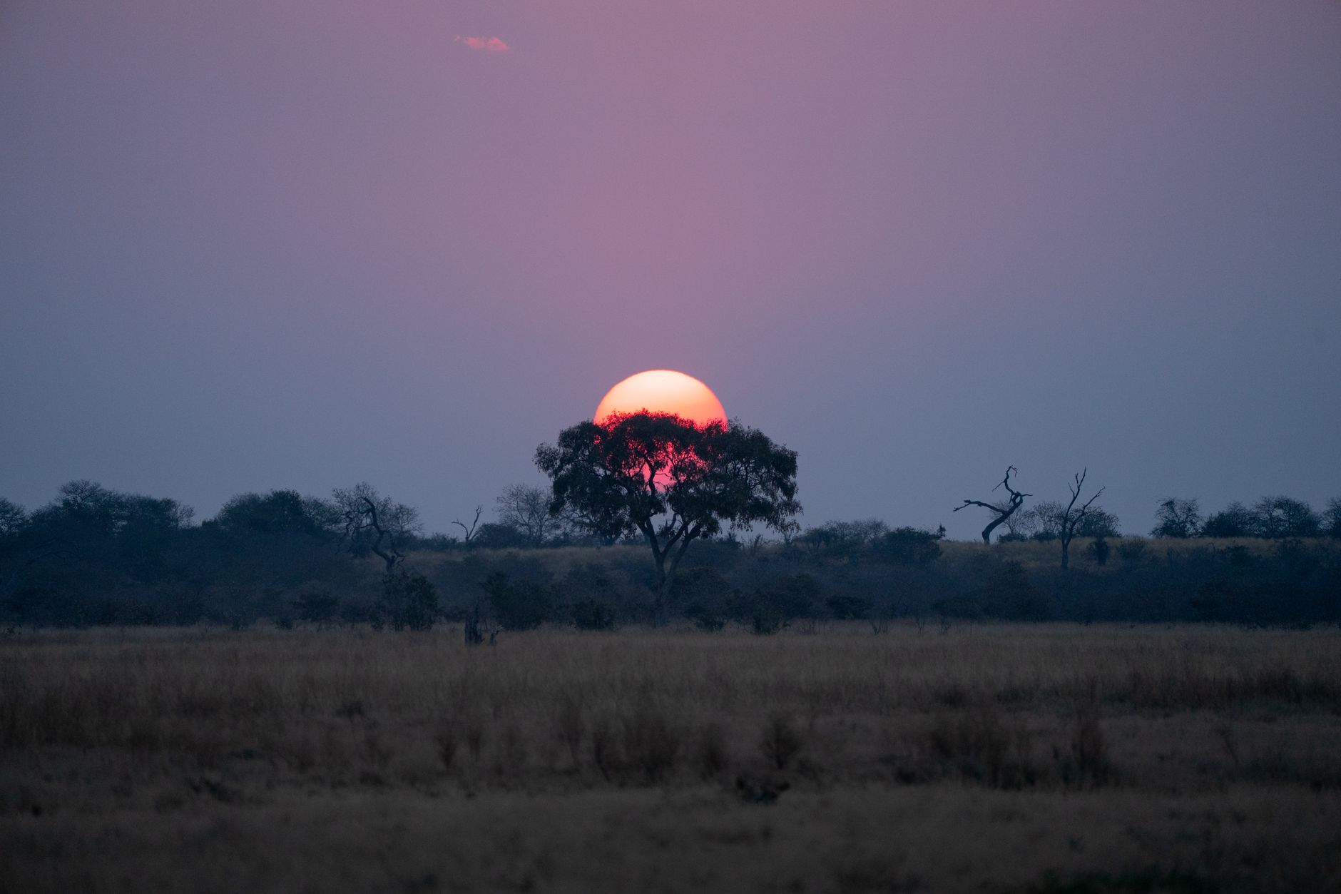 Beautiful sunset over the Savuti landscape in Chobe, Botswana, highlighting diverse wildlife habitat.