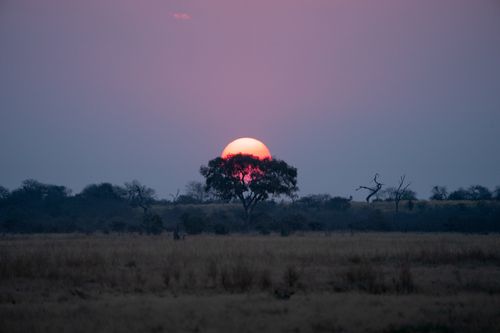 Free Beautiful sunset over the Savuti landscape in Chobe, Botswana, highlighting diverse wildlife habitat. Stock Photo