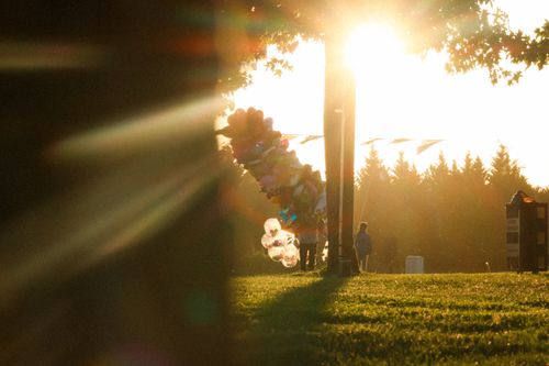 Free A vibrant park scene at sunset with balloons and people silhouetted against the sun. Stock Photo