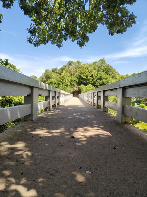 Free Peaceful bridge in Samaná leading into lush greenery on a sunny day, perfect for nature walks. Stock Photo
