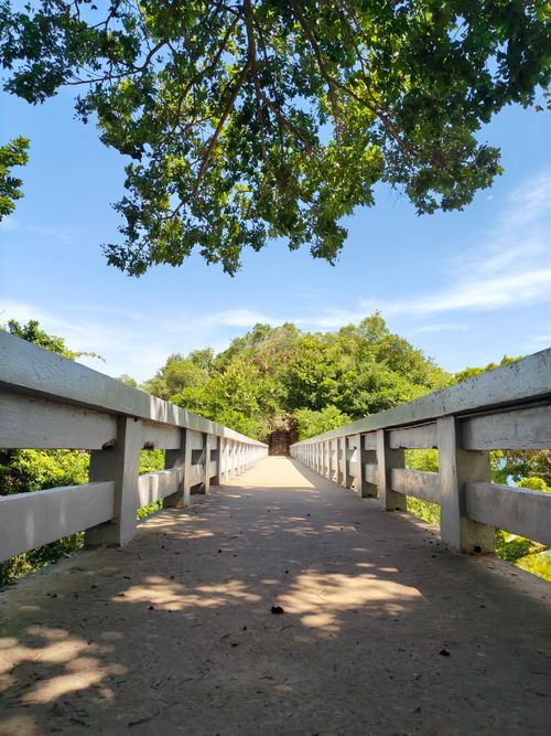 Free Idyllic bridge surrounded by lush greenery in Samaná, perfect for nature lovers. Stock Photo