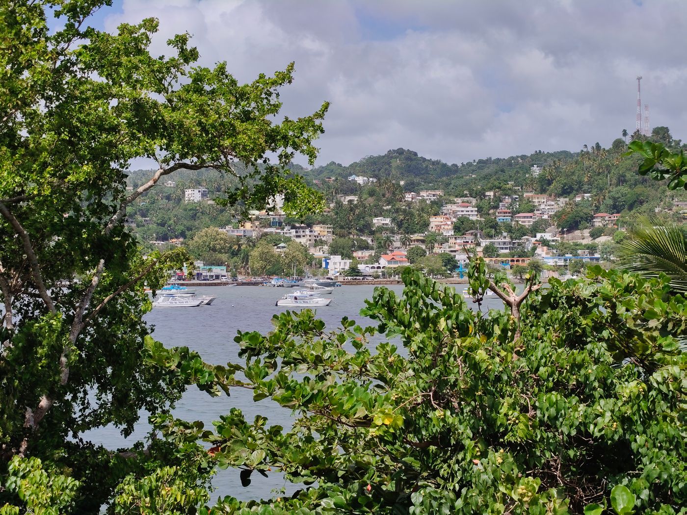 Samaná Bay with boats and hillside town