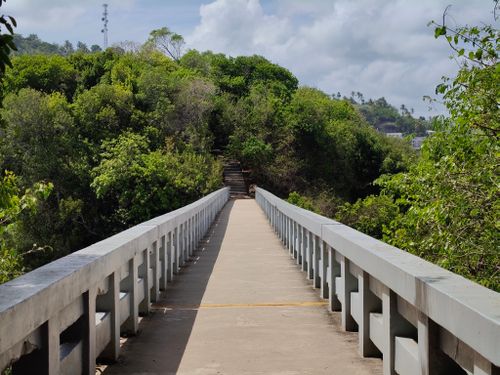 Free Explore a tranquil walkway surrounded by lush greenery in Samaná, Dominican Republic. Stock Photo