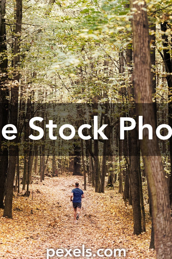 1000+ Amazing Trail Running Photos Pexels · Free Stock Photos