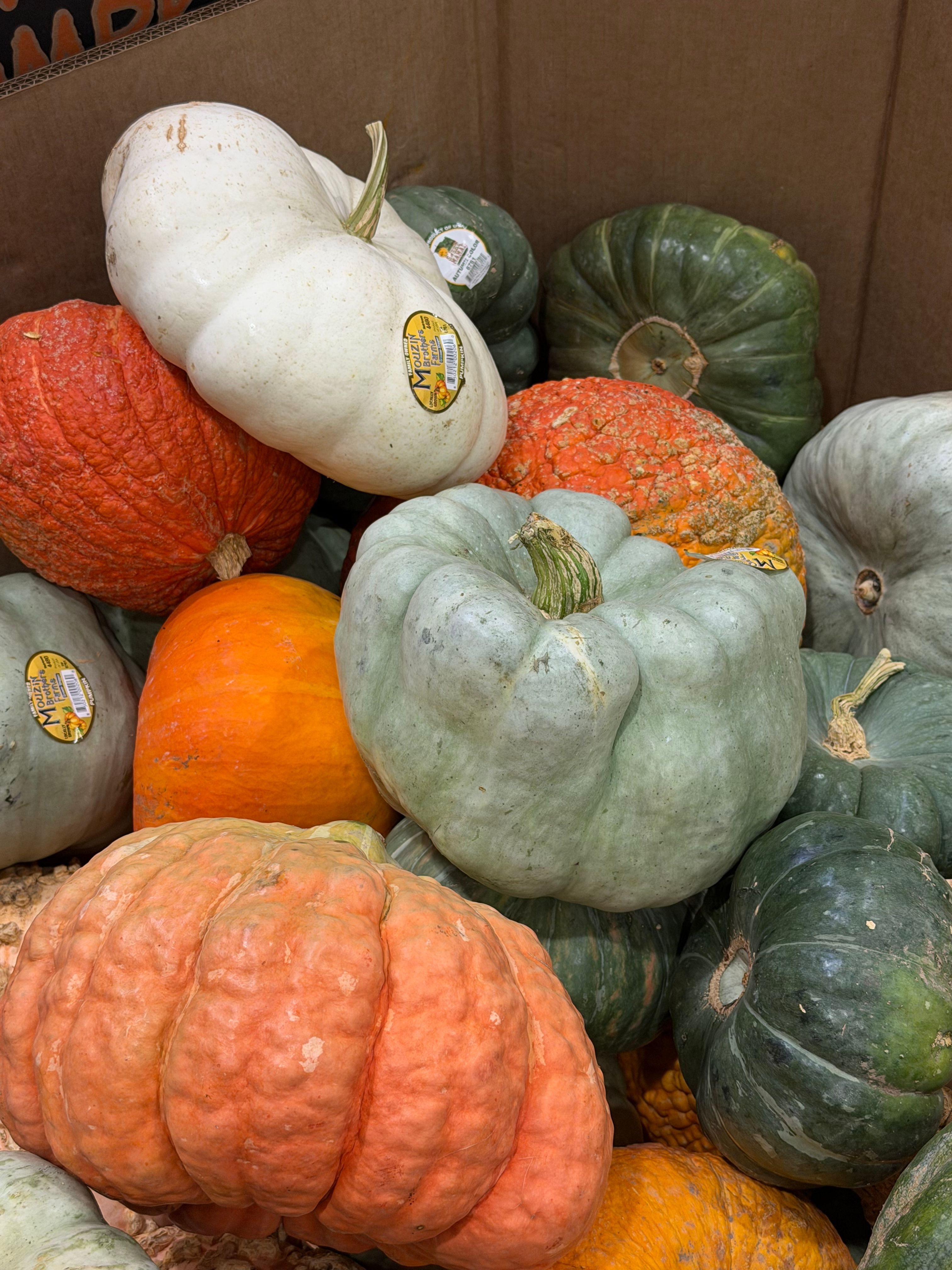 Fotomural Surtido de calabazas vibrantes que muestran diferentes colores y texturas en una caja. Perfectas para la decoración otoñal.