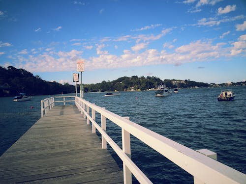 Brown and White Wooden Dock