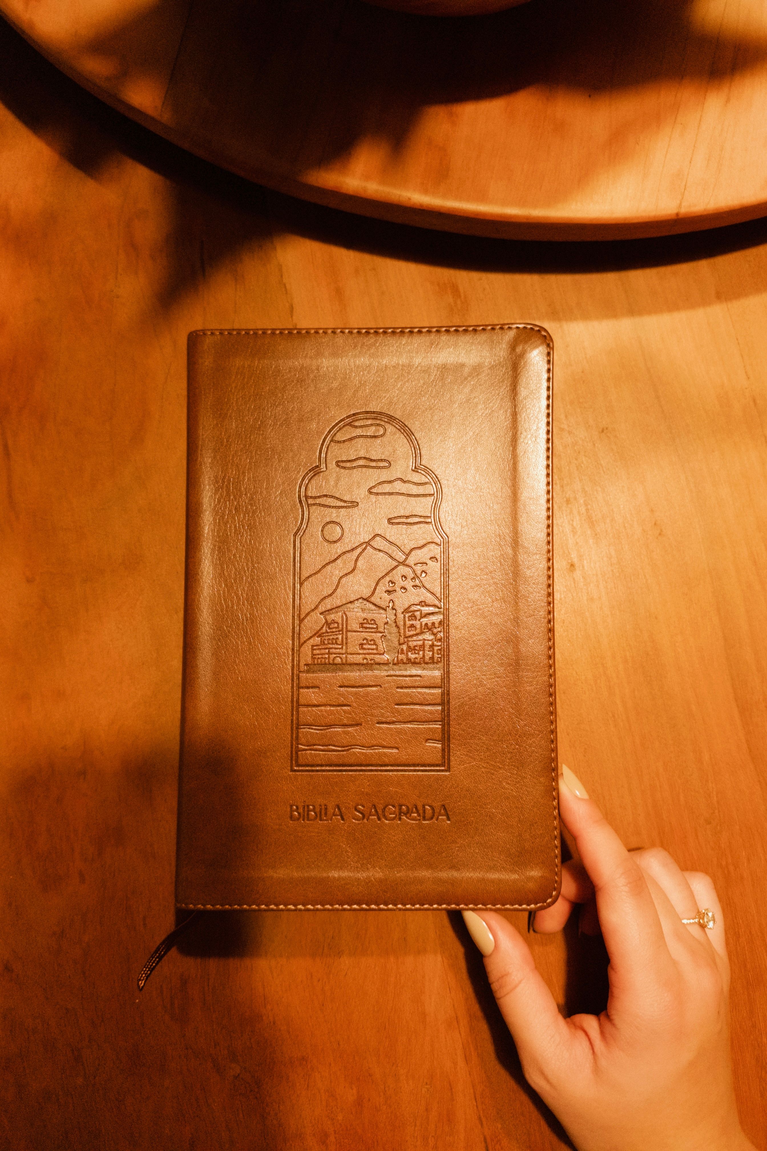 What are the 10 most translated books in history after the Bible?