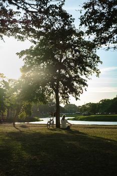 Person relaxing under tree in São Paulo park with bicycle during sunny day.