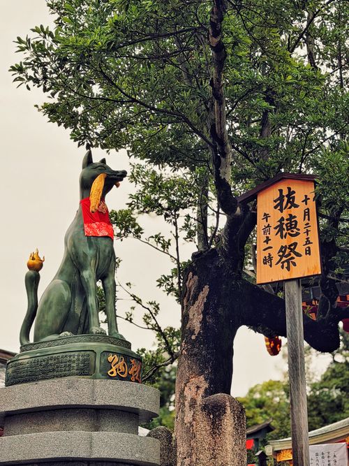 Free Fox statue at Fushimi Inari Taisha, Kyoto, with festival sign and tree. Stock Photo
