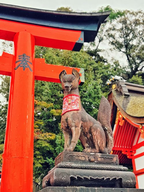 Free Statue of a fox at Fushimi Inari Shrine in Kyoto, Japan, near a vibrant red torii gate. Stock Photo
