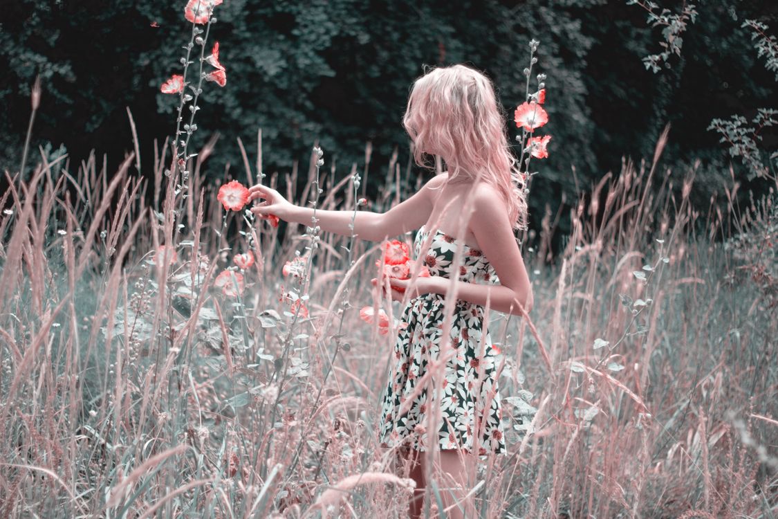 Woman In Floral Dress Sitting On Grass Field · Free Stock Photo