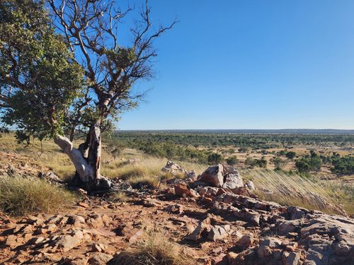 Free Expansive landscape of Tennant Creek, Northern Territory in the Australian outback. Stock Photo