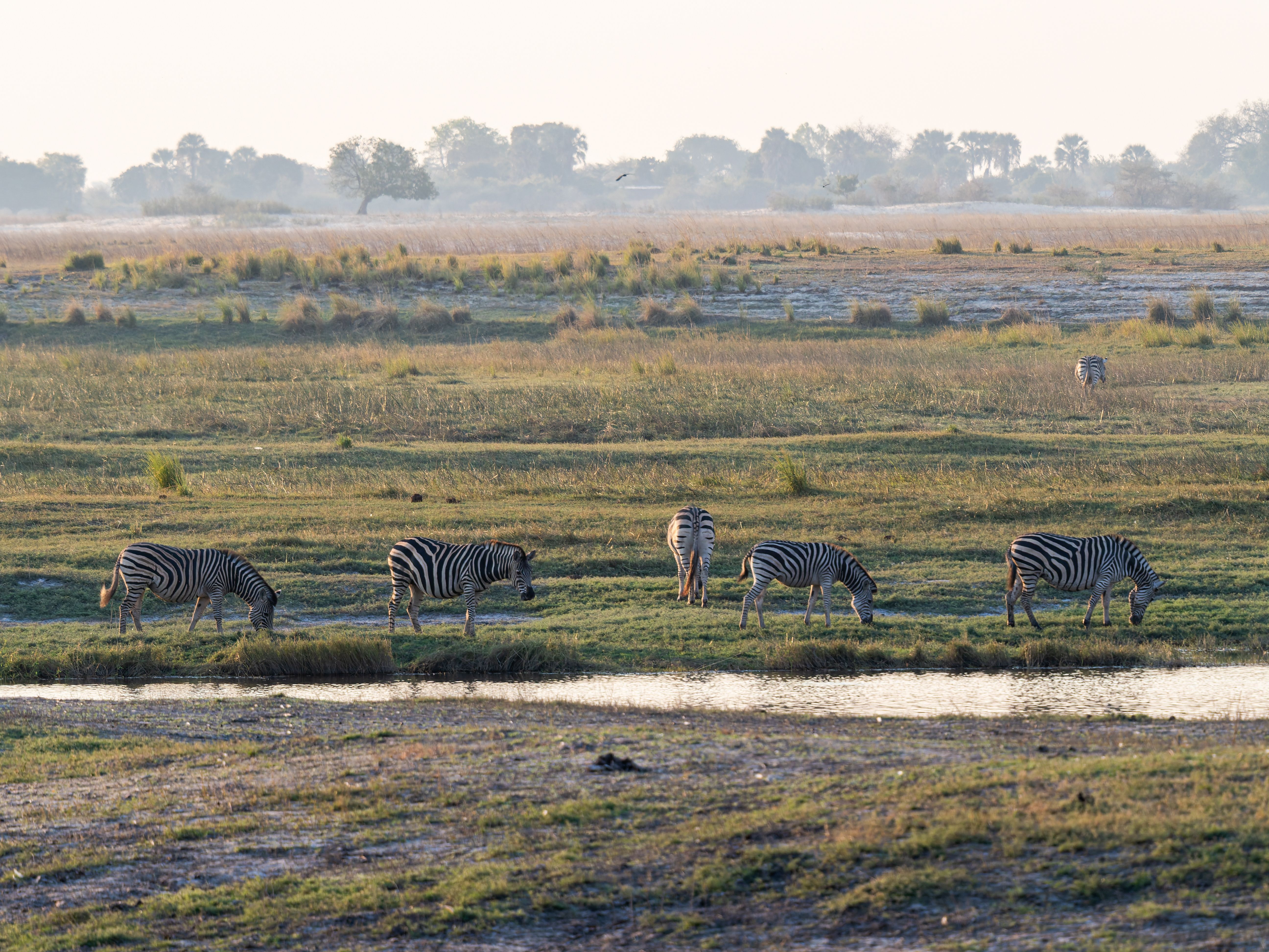 How to Plan a Cross-Country African Safari