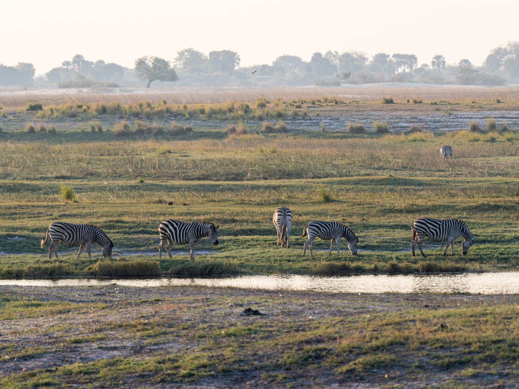 How to Plan a Cross-Country African Safari