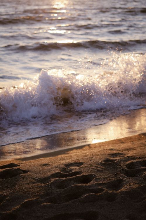 Free Dramatic ocean waves crashing on a sandy beach during sunset, reflecting golden hues. Stock Photo