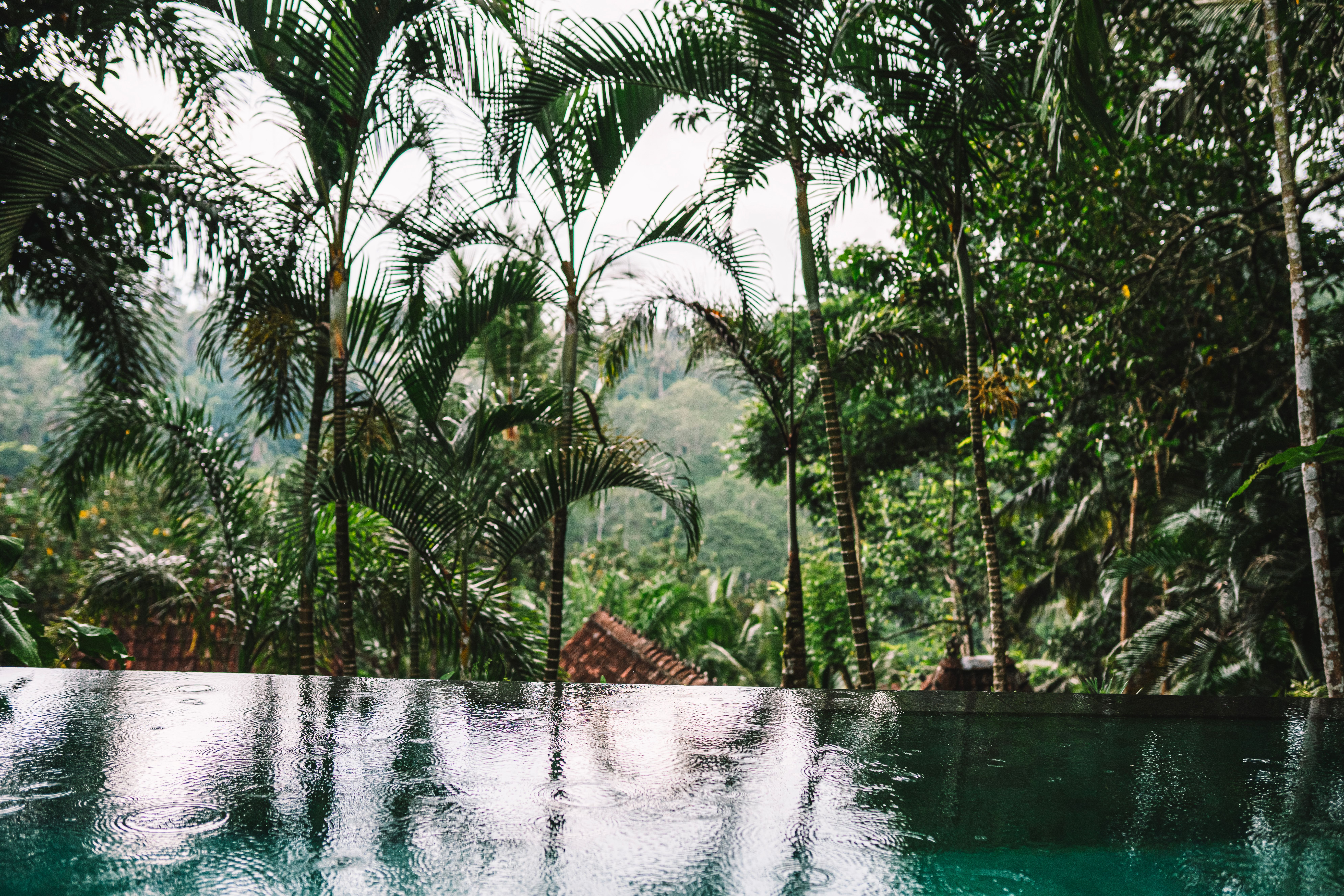 Capella Ubud