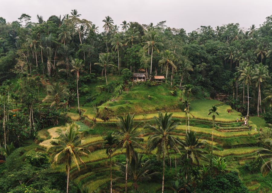 Bali: Slow & Tropical — Bali journey