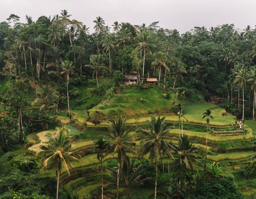 Bali — travel photograph 1