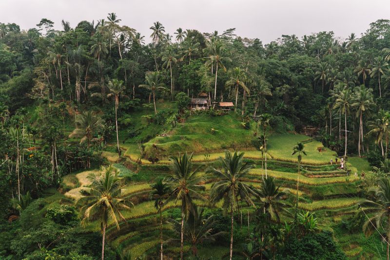 Ubud