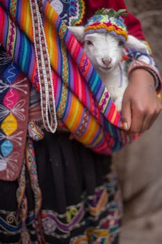 色彩缤纷的秘鲁纺织品包裹着充满活力的羊驼羊肉，展现了传统的安第斯文化