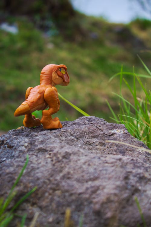 Free Close Up Shot of a Dinosaur Toy Stock Photo