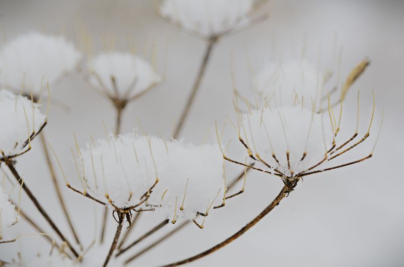 Kate Moore
