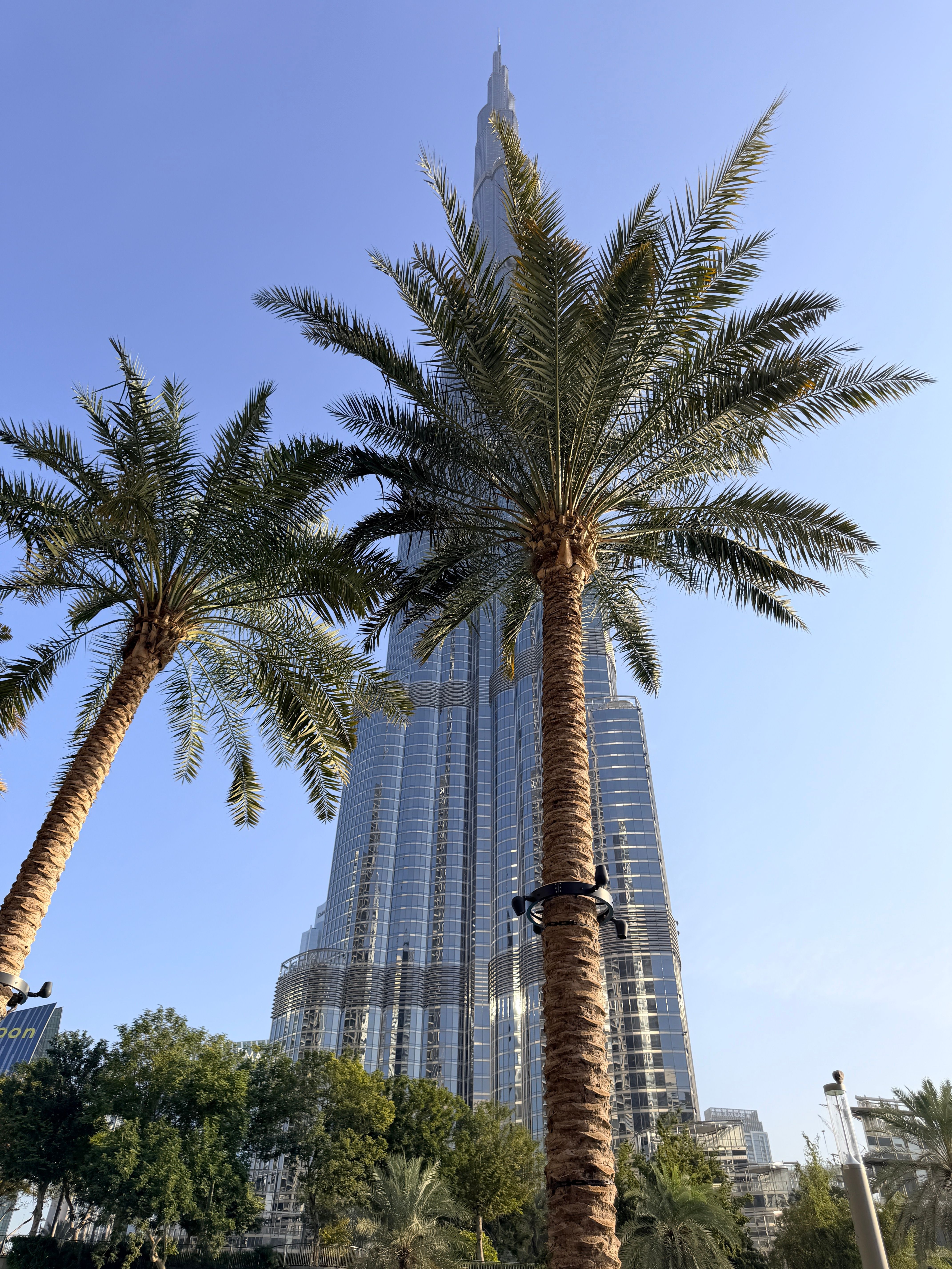 Stunning view of Burj Khalifa from below with lush palm trees, showcasing Dubai's iconic skyline.