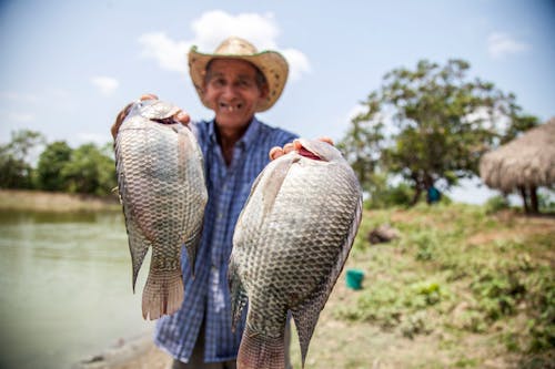 Foto profissional grátis de captura, colômbia, homem