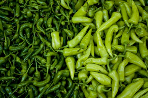 Free Green Chilis on Focus Photo Stock Photo