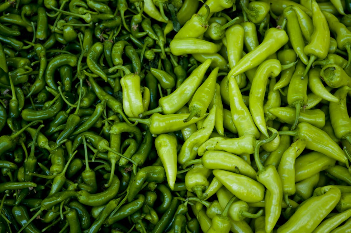 무료 초점 사진에 녹색 Chilis 스톡 사진