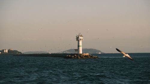 Free A serene view of a lighthouse on a rocky pier with seagulls and a calm sea at sunset. Stock Photo