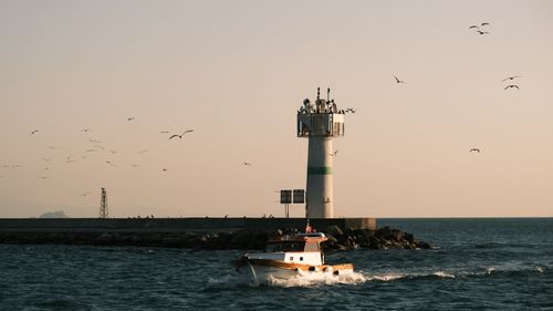 Free Peaceful ocean scene featuring a lighthouse with seagulls in flight and a boat during sunset. Stock Photo