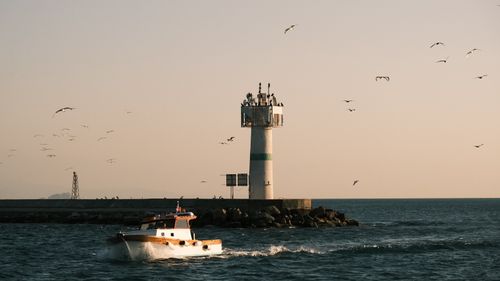 Free A small boat sails near a lighthouse at sunset, surrounded by seagulls in a tranquil sea. Stock Photo