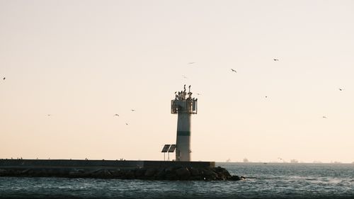 Free A serene lighthouse on a pier surrounded by seagulls at sunset with a calm sea. Stock Photo