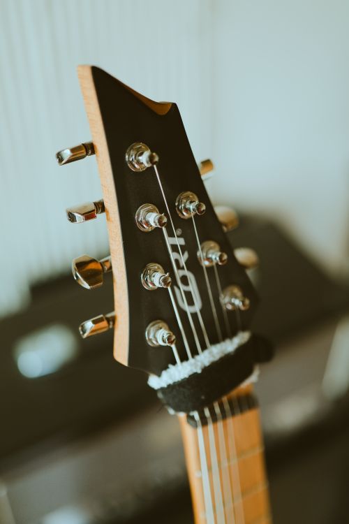 Free Detailed image of a guitar's headstock with tuning pegs in a soft light setting. Stock Photo