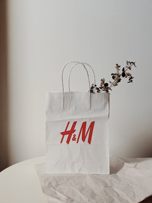 Ingyenes stockfotó bevásárló táska, eukaliptusz, h & m témában