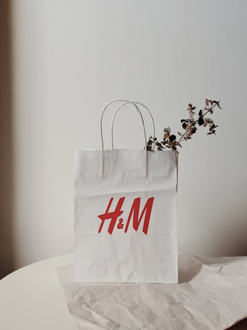 Imagine de stoc gratuită din eucalipt, geantă, h & m