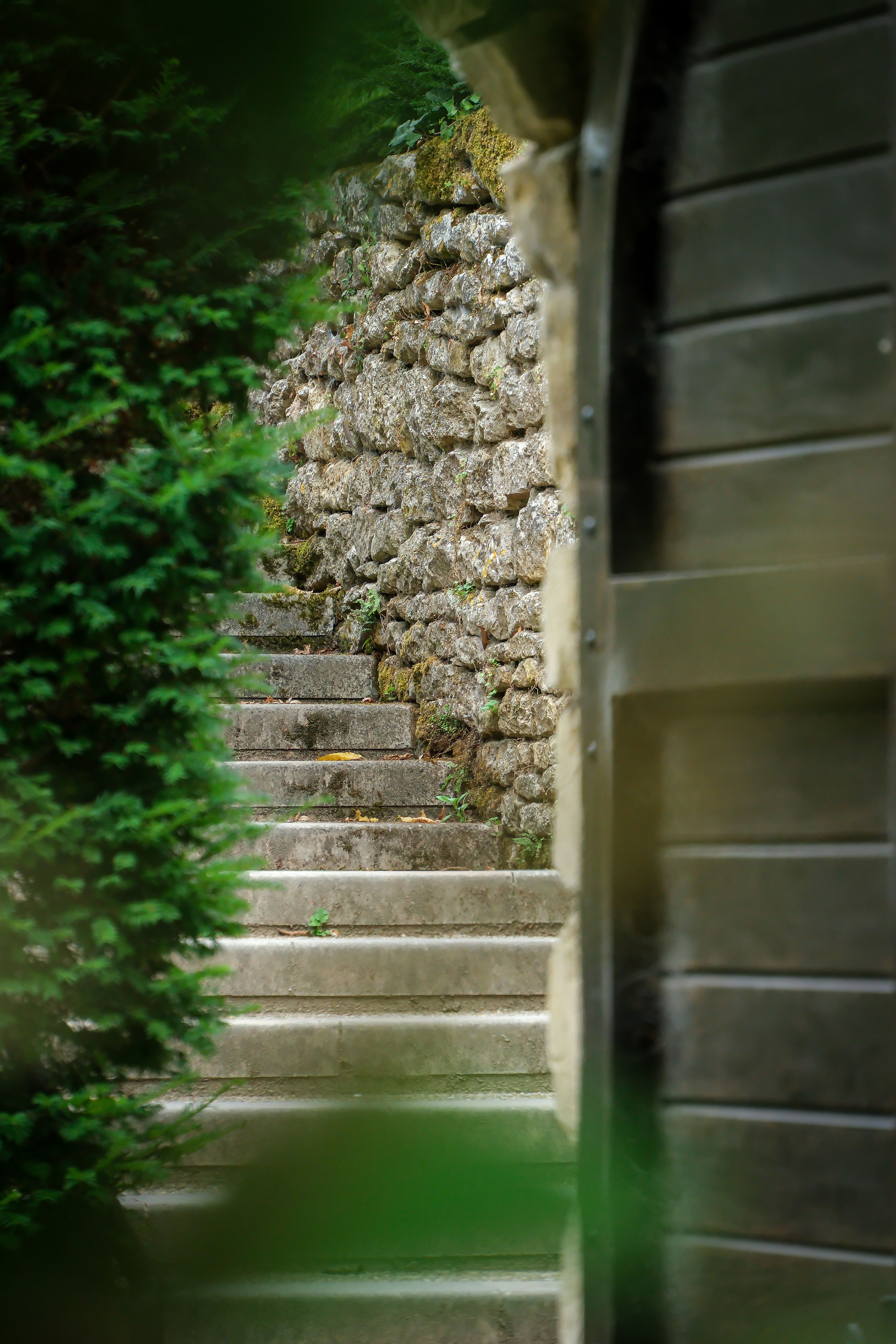Serene pathway with stone steps and greenery in a secluded outdoor setting.