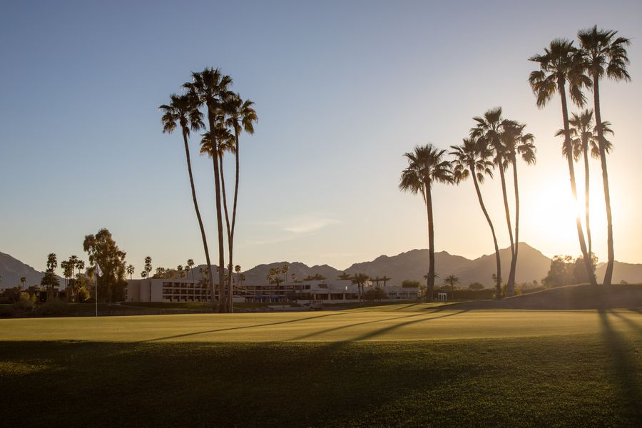 Palm trees and a Scottsdale golf course at sunset
