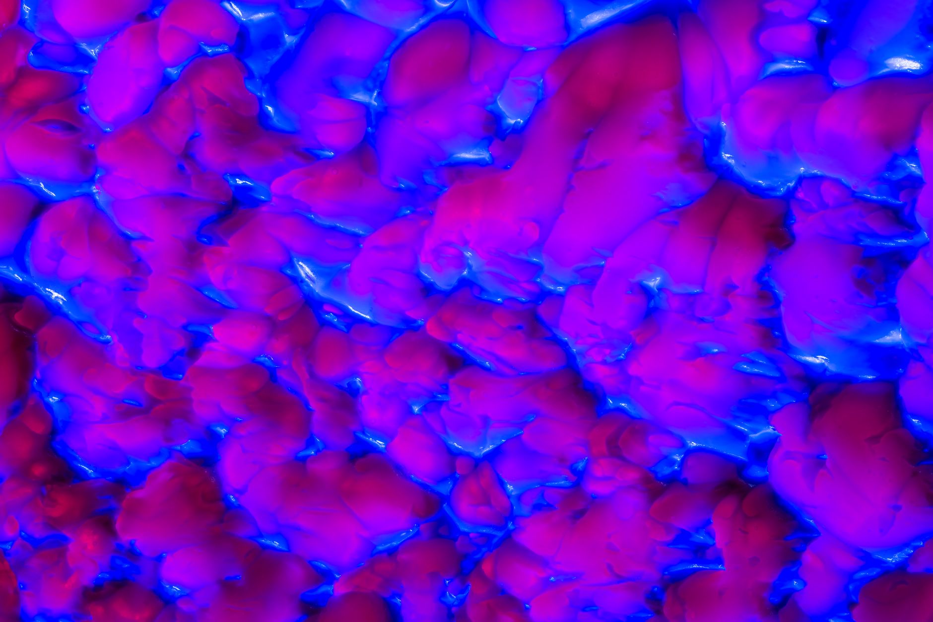 Dynamic abstract image featuring vibrant purple and blue neon textures with a surreal design.