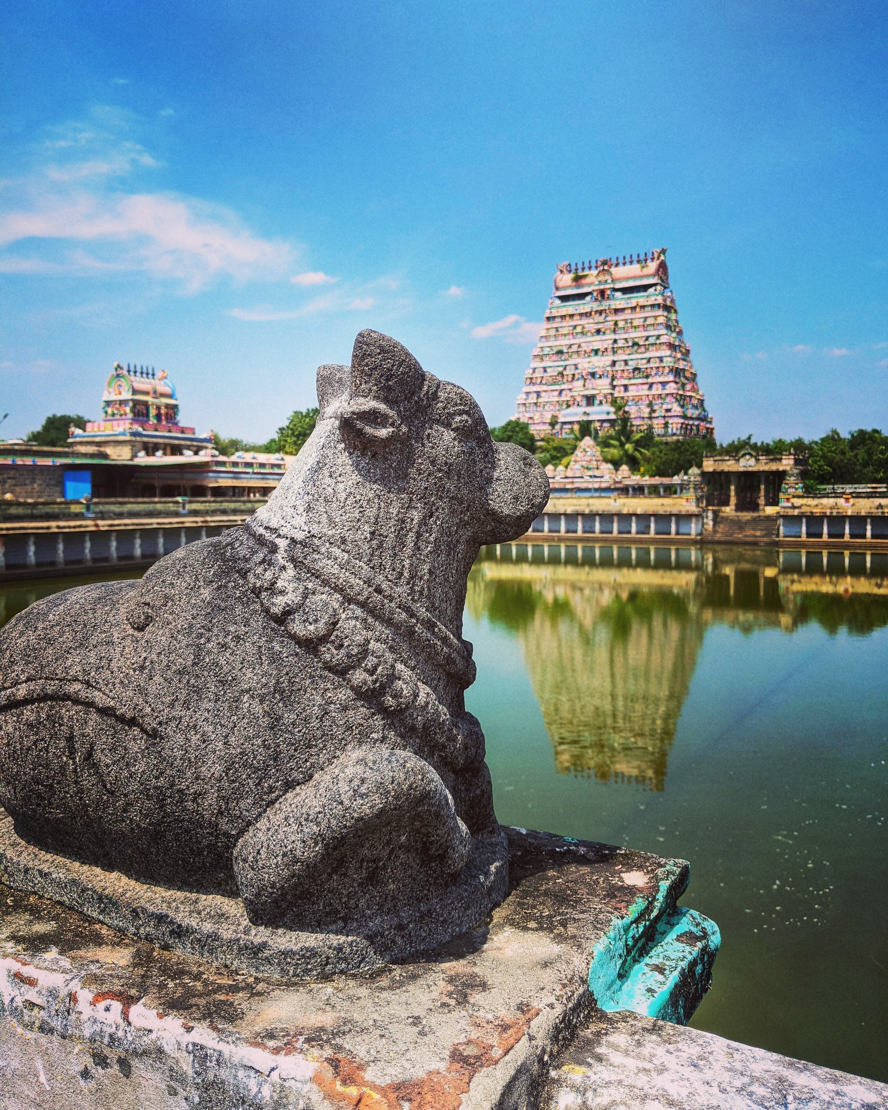 Nandi statue overlooking Chidambaram Temple in Tamil Nadu, India.